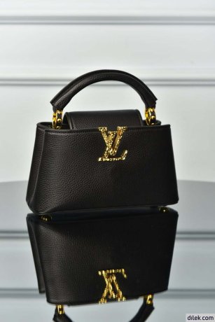 Louis Vuitton Capucines Mini Bag