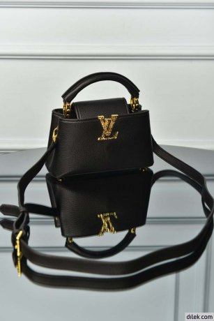 Louis Vuitton Capucines Mini Bag