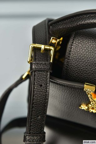 Louis Vuitton Capucines Mini Bag