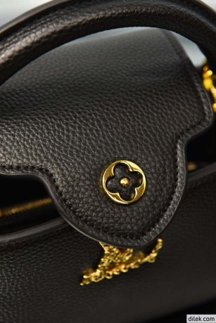 Louis Vuitton Capucines Mini Bag