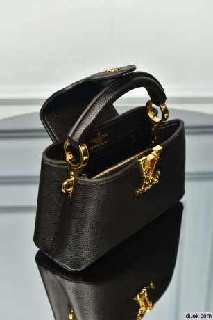 Louis Vuitton Capucines Mini Bag