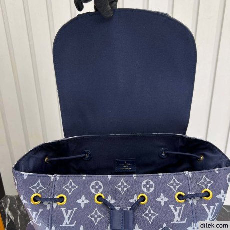 Louis Vuitton Christopher MM