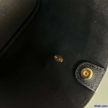 Louis Vuitton Lock and Walk