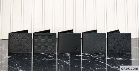 Louis Vuitton Men Multiple Wallet