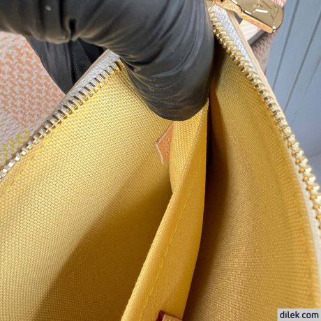 Louis Vuitton Neverfull MM Damier Canvas