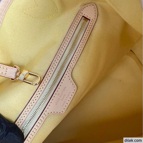 Louis Vuitton Neverfull MM Damier Canvas