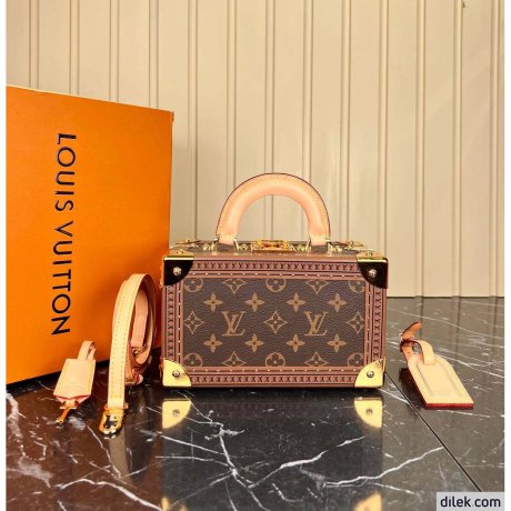 Louis Vuitton Petite Valise