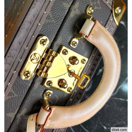 Louis Vuitton Petite Valise