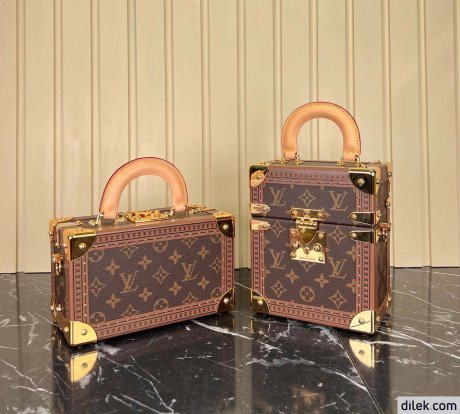 Louis Vuitton Petite Valise
