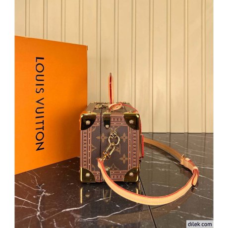 Louis Vuitton Petite Valise