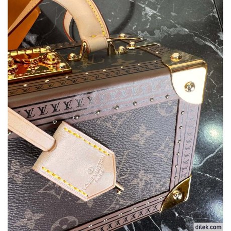 Louis Vuitton Petite Valise