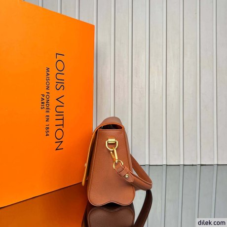 Louis Vuitton Soft Twist Bag
