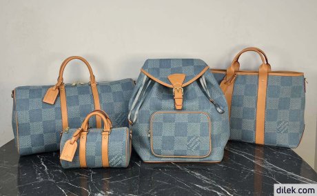 Louis Vuitton Speedy 25 Bandouliere Denim
