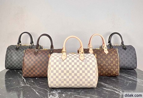 Louis Vuitton Speedy 30