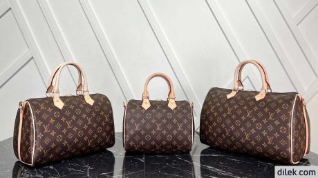 Louis Vuitton Speedy 30