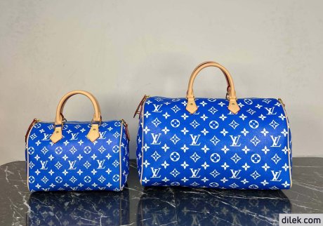 Louis Vuitton Speedy 40 Bandouliere Damier Pop