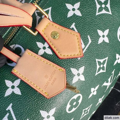 Louis Vuitton Speedy 40 Bandouliere Damier Pop