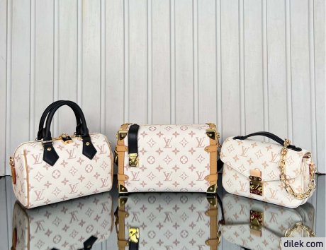 Louis Vuitton Speedy Bandouliere 20