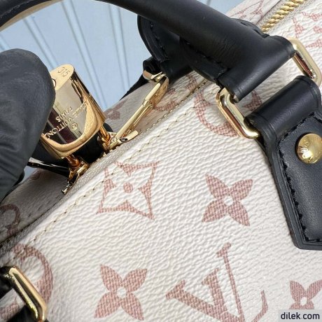 Louis Vuitton Speedy Bandouliere 20
