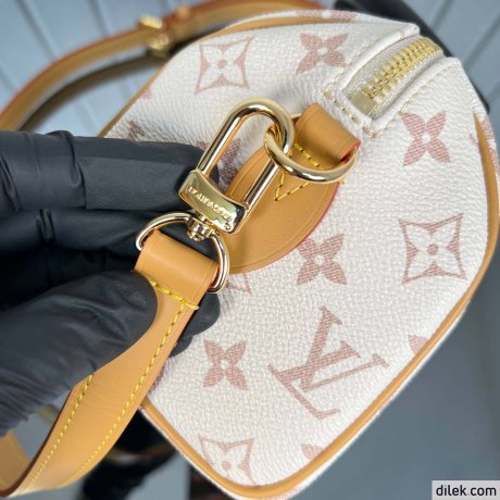 Louis Vuitton Speedy Bandouliere 20