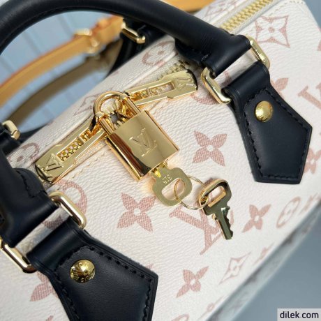 Louis Vuitton Speedy Bandouliere 20