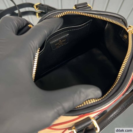 Louis Vuitton Speedy Bandouliere 20