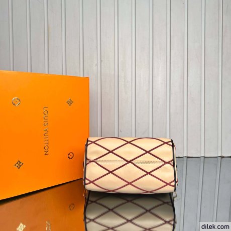 Louis Vuitton Speedy Bandouliere 20