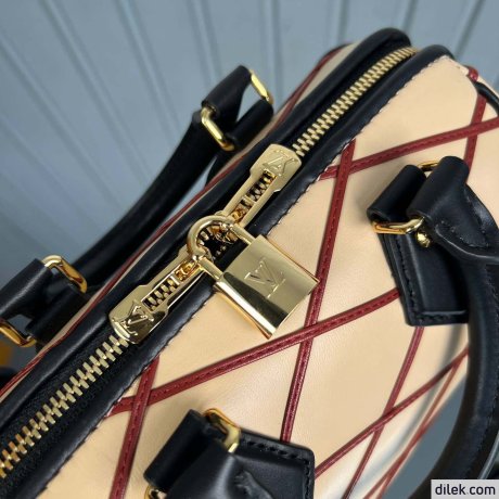 Louis Vuitton Speedy Bandouliere 20