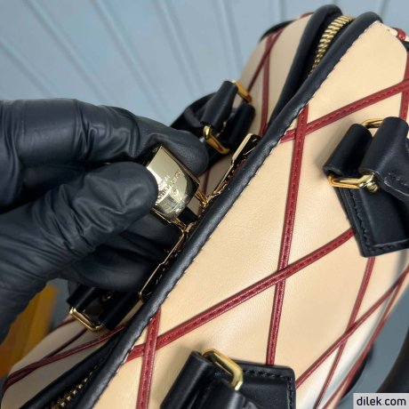 Louis Vuitton Speedy Bandouliere 20