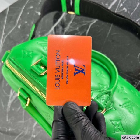 Louis Vuitton Speedy Bandouliere 25