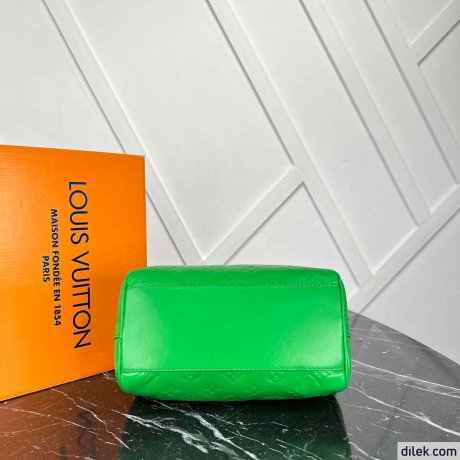 Louis Vuitton Speedy Bandouliere 25