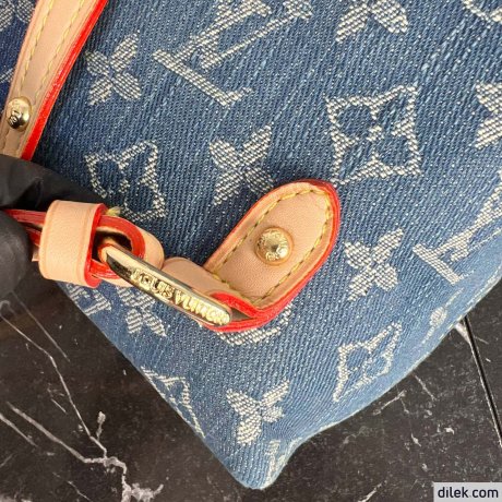 Louis Vuitton Venice Backpack
