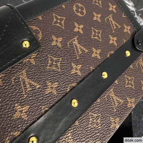 Louis Vuitton Petite Malle Monogram