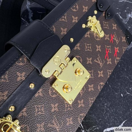 Louis Vuitton Petite Malle Monogram