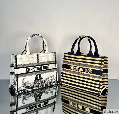 Dior Medium Book Tote