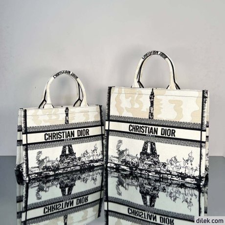 Dior Medium Book Tote