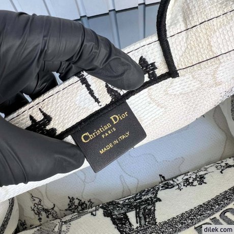 Dior Medium Book Tote