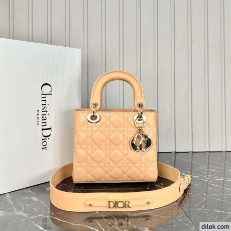Dior Medium Lady Dior Bag