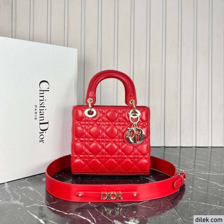 Dior Medium Lady Dior Bag