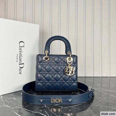 Dior Medium Lady Dior Bag