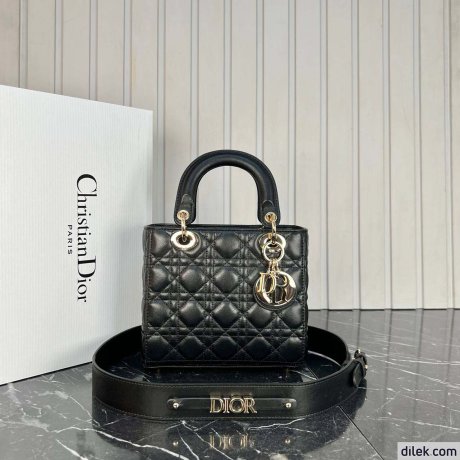 Dior Medium Lady Dior Bag