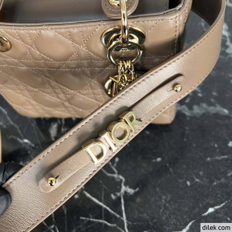 Dior Medium Lady Dior Bag