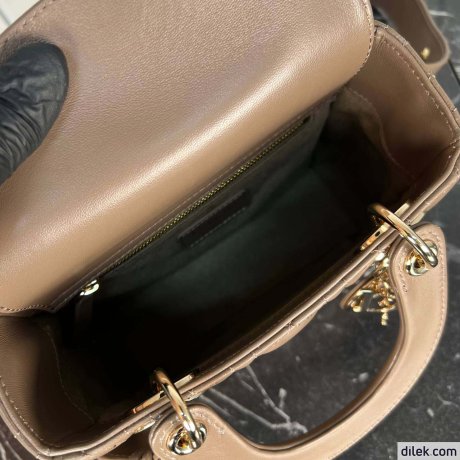 Dior Medium Lady Dior Bag