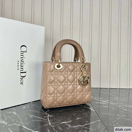 Dior Medium Lady Dior Bag