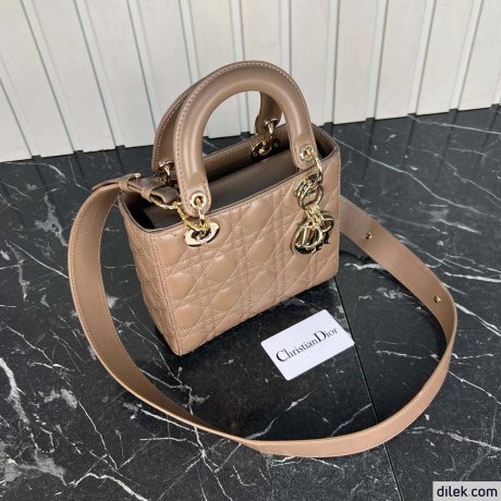 Dior Medium Lady Dior Bag