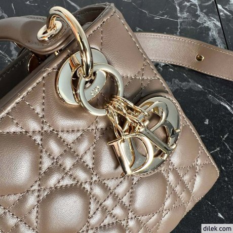 Dior Medium Lady Dior Bag