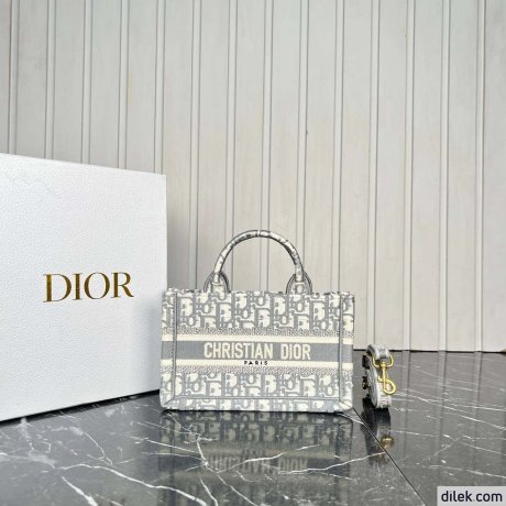 Dior Mini Book Tote