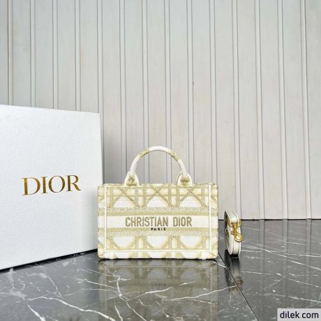 Dior Mini Book Tote