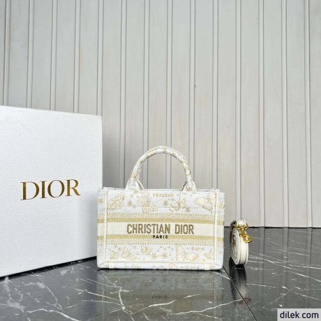 Dior Mini Book Tote