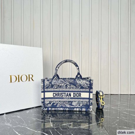 Dior Mini Book Tote